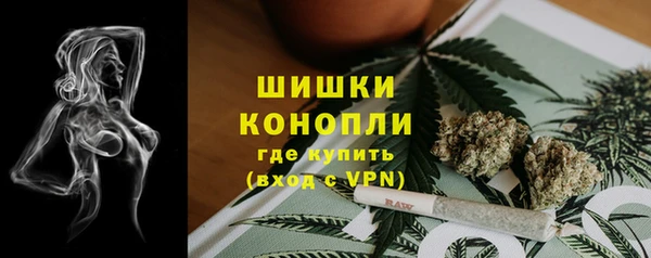 ECSTASY Болотное