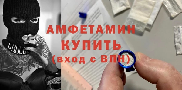 индика Болохово