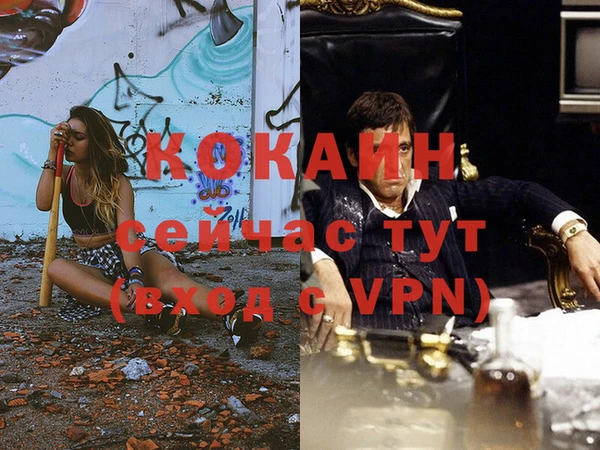 индика Болохово