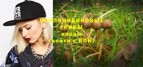 индика Болохово