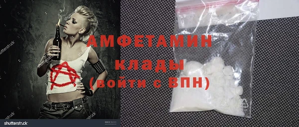 индика Болохово