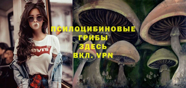 ECSTASY Болотное