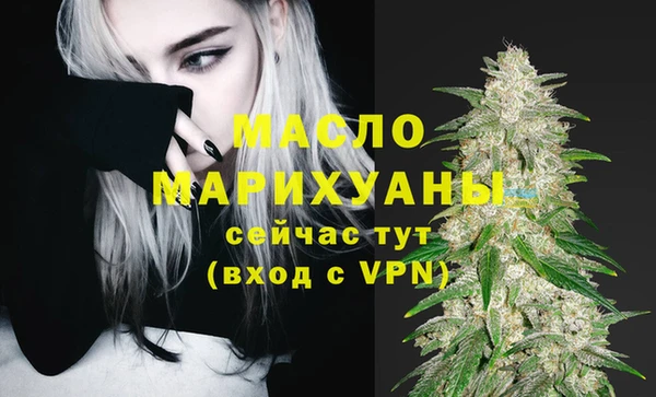 ECSTASY Болотное