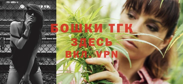 ECSTASY Болотное