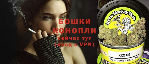 ECSTASY Болотное