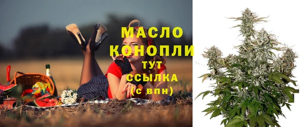 ECSTASY Болотное