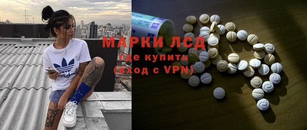 ECSTASY Болотное