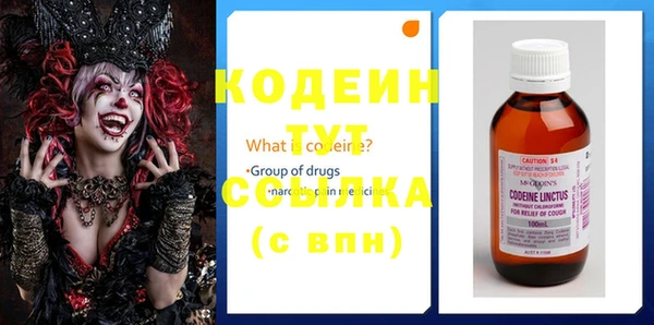 индика Болохово