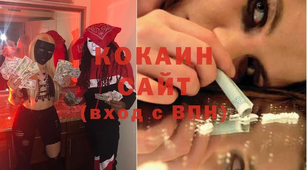 индика Болохово