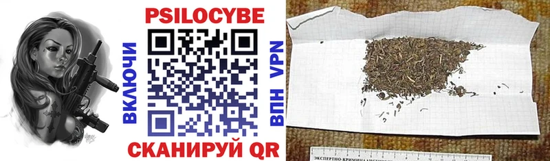 где найти наркотики  Енисейск  Псилоцибиновые грибы прущие грибы 